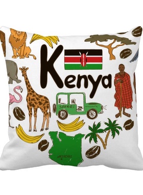 形国旗插画图案方形抱枕靠枕沙发靠垫双面含芯礼物学校幼儿园装饰