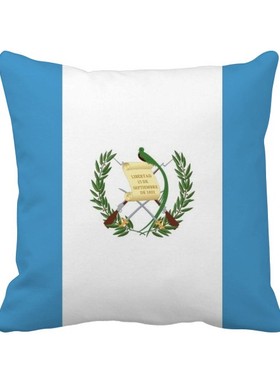 家象征符号图案方形抱枕靠枕沙发靠垫双面含芯礼物学校幼儿园装饰