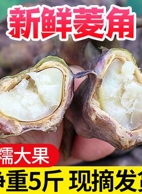 上市偏老菱角尝鲜湖北洪湖菱角新鲜带壳菱角青皮菱角新鲜老菱角