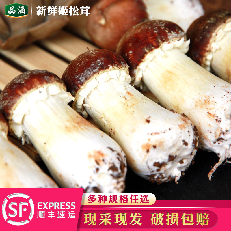 【现货】新鲜姬松茸精品云南特产香格里拉仿野生食用菌菇姬 松茸