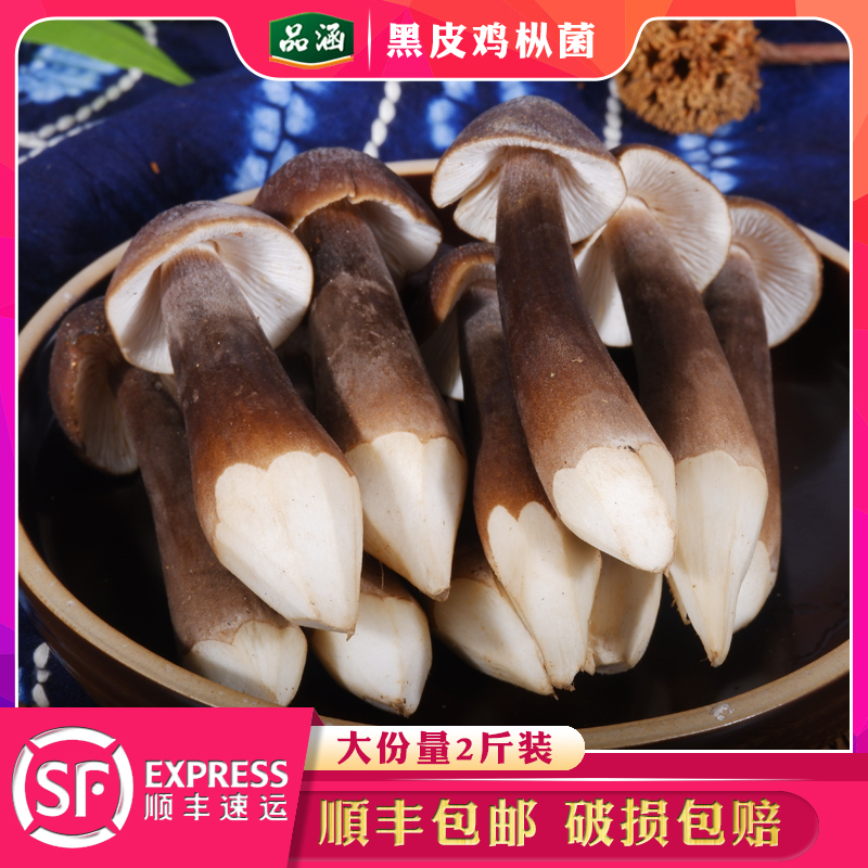 新鲜黑皮鸡枞菌2斤装食用菌菇