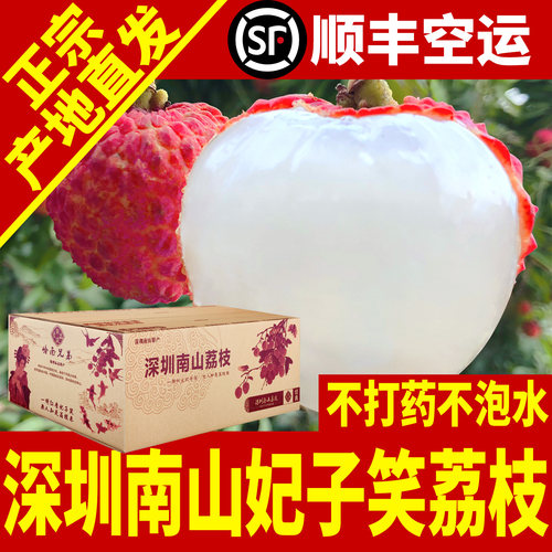 【现货秒发】妃子笑荔枝成熟了