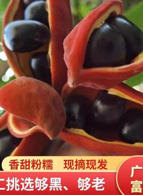增城凤眼果比其他产品更香更甜