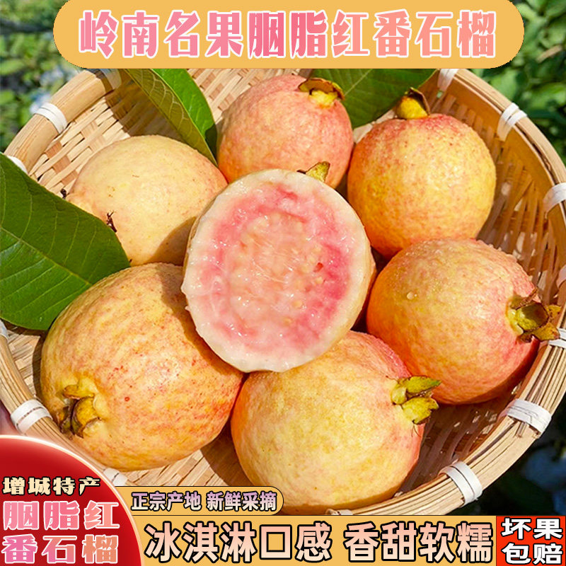 广东增城当季新鲜水果稀有番石榴5斤装胭脂红芭乐糖心