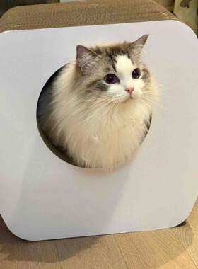 火火设计:凳子猫抓板 模切bb楞 可承重150斤43.5*45.5*35.5cm顺丰