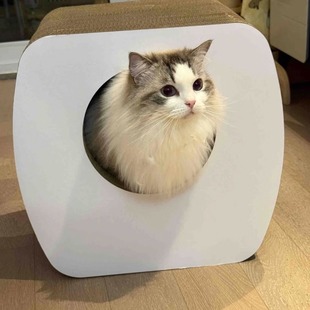 45.5 火火设计 可承重150斤43.5 模切bb楞 35.5cm顺丰 凳子猫抓板