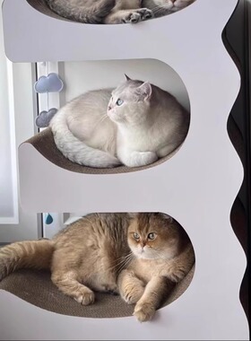 E型猫抓板 模切bb楞 一体 耐磨 9.1kg 可承重150斤 顺丰发货