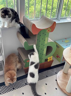 35.5cm 仙人掌猫抓板 顺丰 线锯bb楞