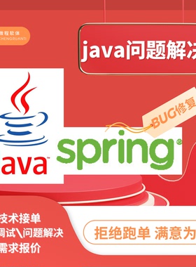 java问题解决远程代码调试bug修复技术指导spring系统api接口开发