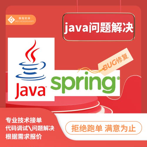 java代码调试bug修复api接口开发