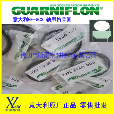 意大利GF原装进口格来圈GCS活塞杆轴用密封新品火热销售中