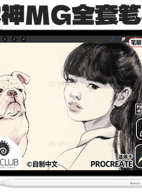 Procreate大师MG全套笔刷100支艺术家素描水彩油画插画笔库pocket