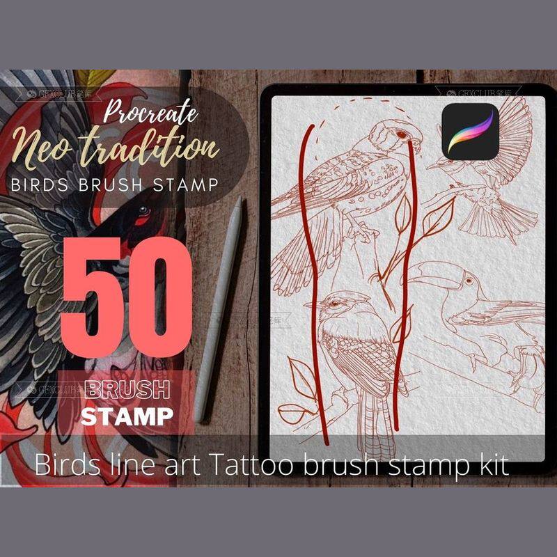 Procreate纹身刺青线稿飞鸟图形50款插画创作图案纹样设计笔刷包