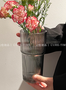 鲜花花瓶ins风高颜值客厅摆件简约透明玻璃花瓶桌面插花水养干花