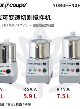 进口RobotCoupe搅拌机