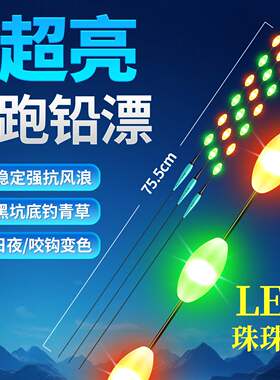 超亮灯珠硬尾夜光漂铅自立跑铅电子漂鲢鳙青鱼黑坑大物浮漂