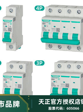 天正电气空气开关TGB1N-63S 1P2P3P4P32A63A4.5KA 家用小型断路器