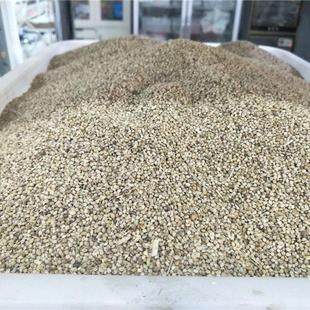 鱼塘水草种子水花生伊乐藻轮叶黑藻小龙虾鱼蟹养殖水草籽四季包邮