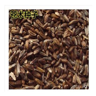 新采药材种子 金线莲种子 南 北苍术丹参党参柴胡桔梗板蓝根种子