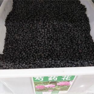 赤芍种子材芍药种子赤芍籽 白芍种子红药种籽 白芍药种苗