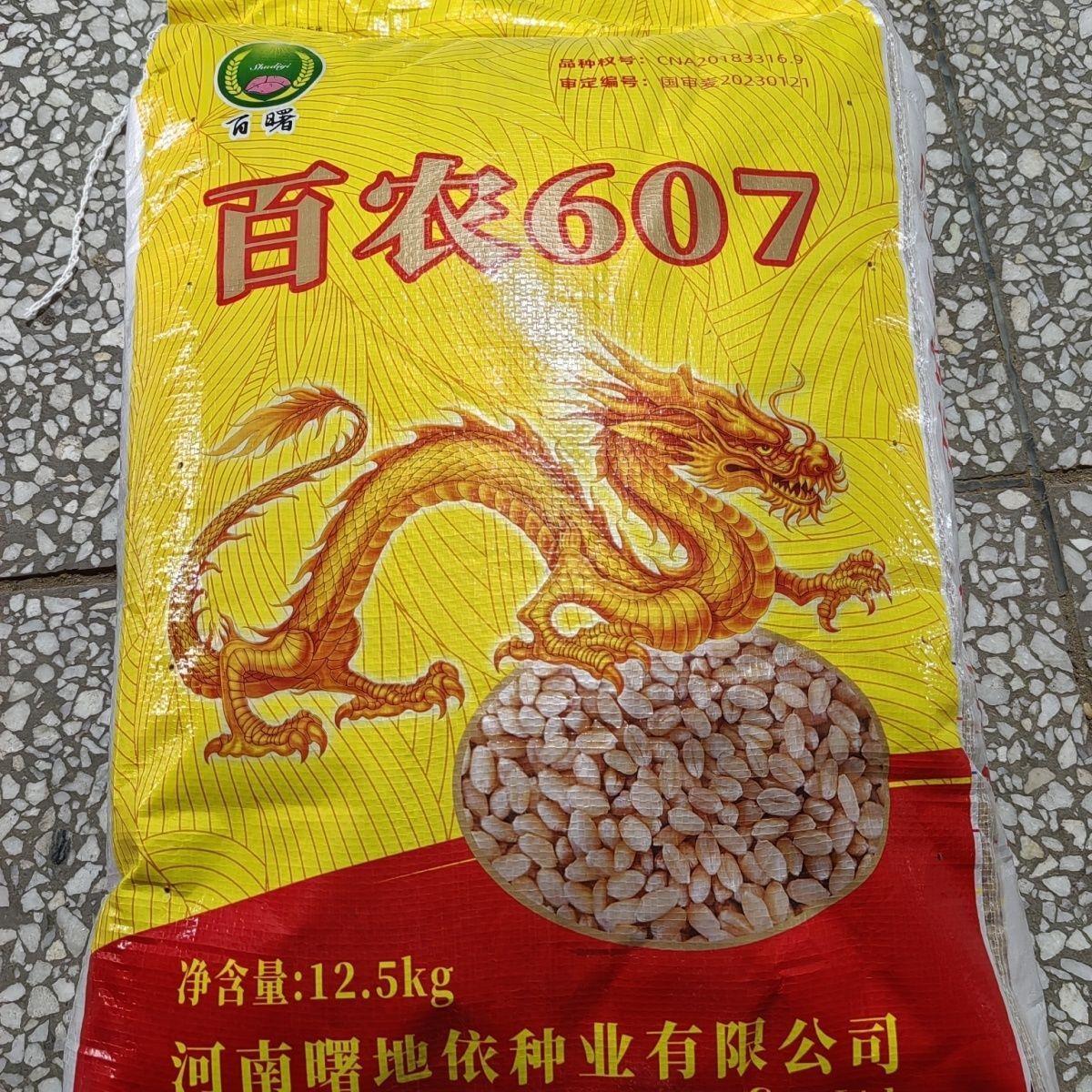 国审百农607高产高抗病 矮秆抗倒抗冻抗病原装正品 优质小麦种子