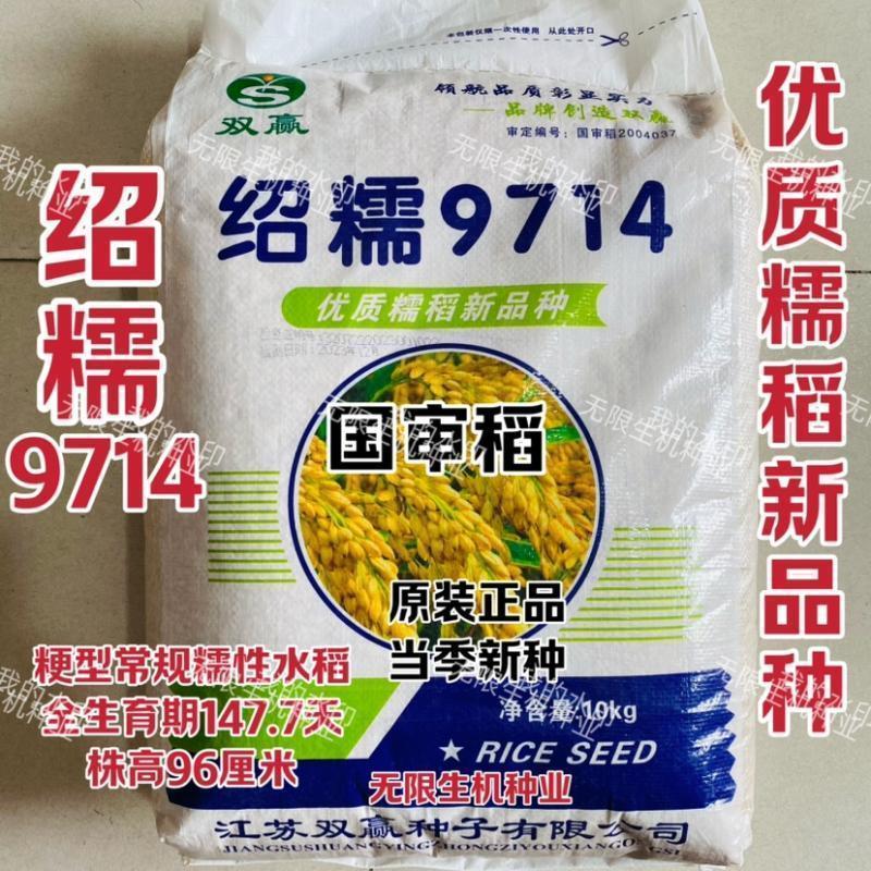 绍糯9714水稻种子优质糯型常规粘稻谷种籽高产抗病大田春夏播种孑