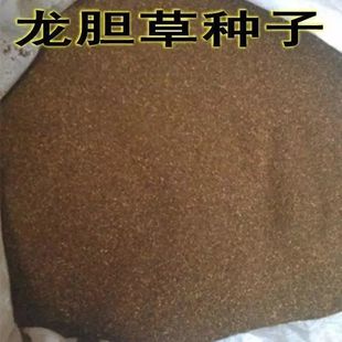 龙胆草种子 中药材种子 地胆头种子 磨地胆 鹿耳草 三花龙胆 包邮