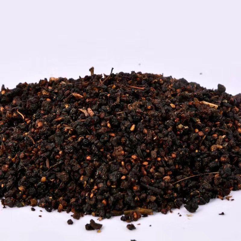 大叶桑树种子 四季桑葚果种子农桑14号 强桑1号 养蚕桑树种籽