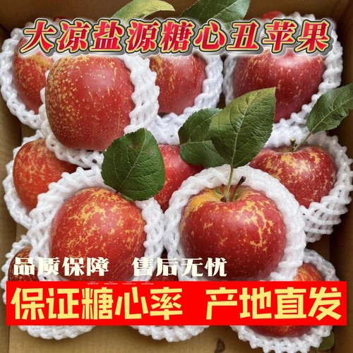 保冰糖心不够包赔四川盐源大凉山丑苹果当季精品冰糖心富士