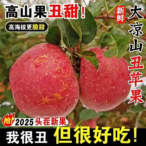 保冰糖心不够包赔四川盐源大凉山丑苹果当季精品冰糖心富士