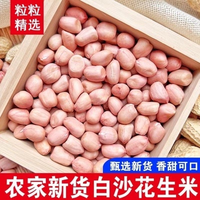 新鲜大白沙花生仁新粉皮花生农家白沙生花生米榨油新货无壳花生仁