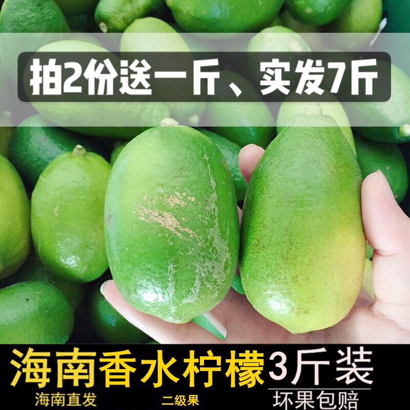 海南新鲜无籽香水柠檬 二级果 3斤装 热带小青柠檬果园现摘包邮