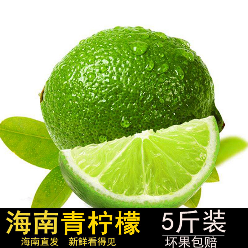 海南青柠檬 柠檬 新鲜小柠檬鲜果多汁香水绿柠檬 5斤果园现摘包邮