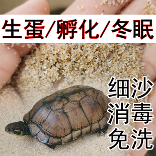 养宠物乌龟沙子小猫养鱼产蛋冬眠孵化砂龟专用黄缘垫材无菌细沙土
