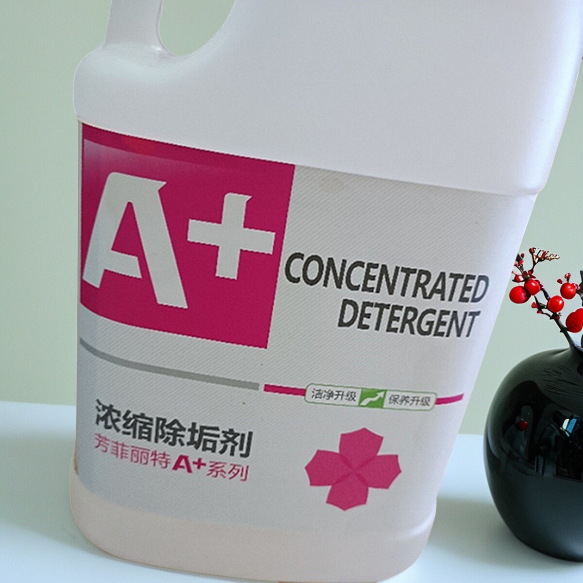 浓缩除垢剂锅炉蒸柜洗碗机除垢
