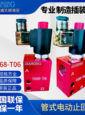 电动止回阀 V6068  V6067 V8068 V8067 V10068厂家直销液压阀组
