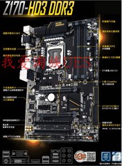 新Gigabyte/技嘉 Z170主板Z170 HD3 DDR3 DDR4   M.2口 1151  7代