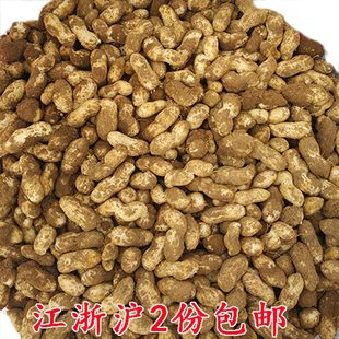 新昌特产新鲜小京生嫩花生嵊州小红毛冷盘水煮湿花生3斤现挖现发
