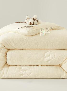 新疆纯棉花被芯冬季加厚保暖棉絮被芯单双人空调被200x230cm新款4