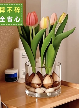 郁金香土培花瓶水培透明方缸水养百合郁金香水仙白掌客厅小花盆
