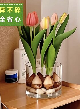 白掌水培花瓶透明方缸多肉
