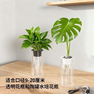 种植篮水培植物固根篮花盆蔬菜瓜果无土栽培加深加高篮透明花瓶