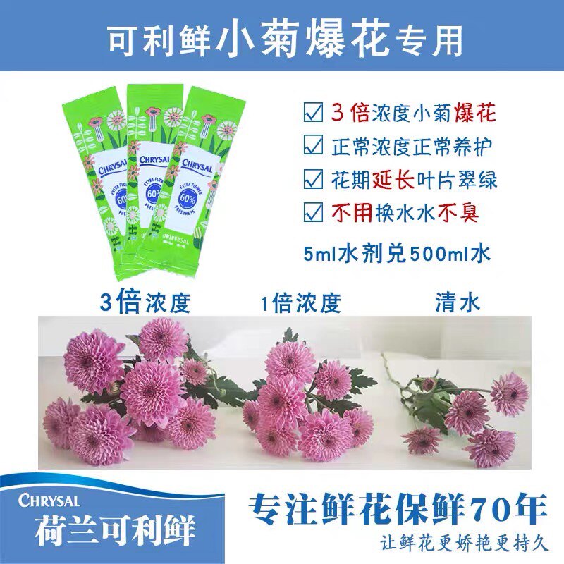 荷兰可利鲜小菊专用爆花清亮水剂5ml鲜花保鲜剂营养剂