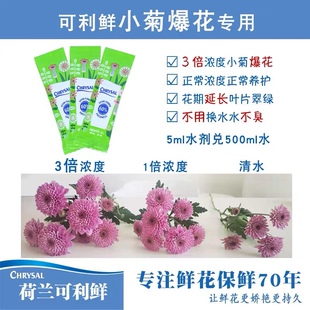 荷兰可利鲜小菊专用爆花清亮水剂5ml鲜花保鲜剂营养剂