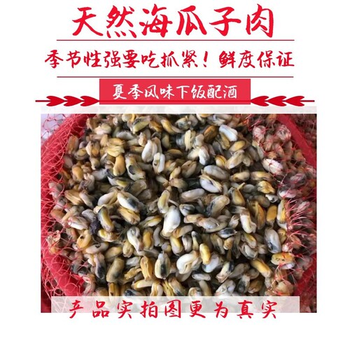 新鲜纯肉海瓜子 新鲜野生海瓜子250g一盒