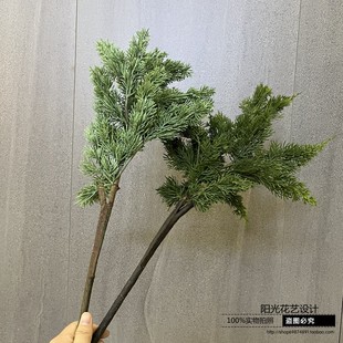 仿真侧柏塔柏树枝扁柏松柏树松枝软装插花装饰绿植常青树蓬莱松