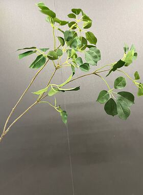 仿真假叶子宝岛叶装饰绿植
