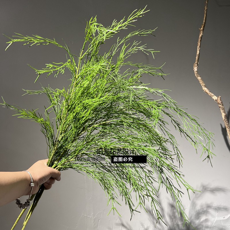 长枝天门冬草卢寻草天门冬千层金假花婚礼插花森林系橱窗造景素材