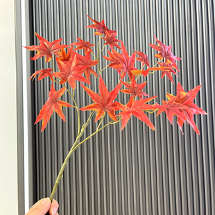 仿真树叶枫树叶秋色枫叶五角枫鸡爪槭工程装饰假叶子植物过胶叶子