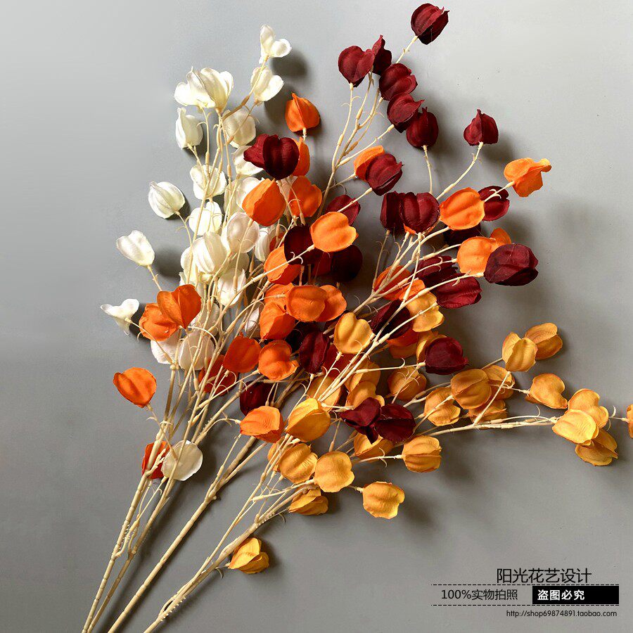 灯笼果彩虹果仿真姑娘花情人果家居装饰插花荷兰酸浆果婚庆装饰